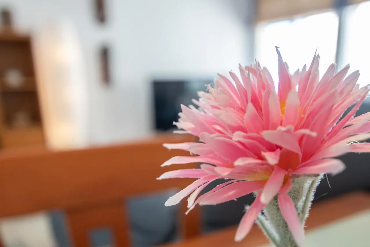Apartamento Tribalia Cadiz